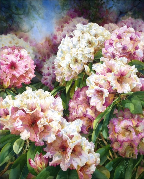 Дэррил Trott (1942 2004 известен своими прекрасными цветочными акварелями. Рисовать начал в возрсте шести лет.Дэррил Trott австралиец, но его искусство получило большой спрос в серии