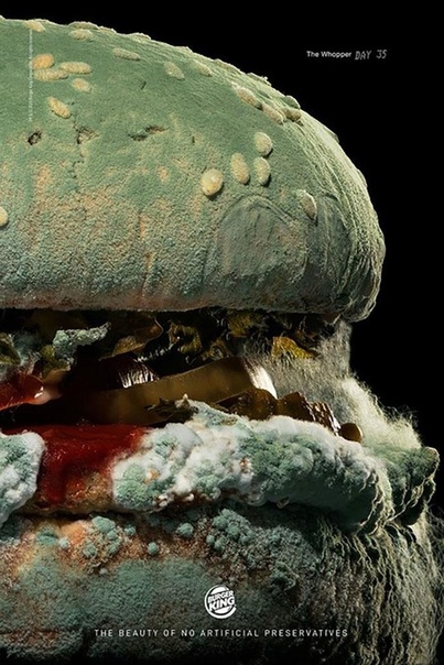 Чтобы угодить cвоим клиентам, Burger ing решил больше не использовать искусственные консерванты и красители в своей продукции и показывает, как будет выглядеть их бургер через 34 дня. 