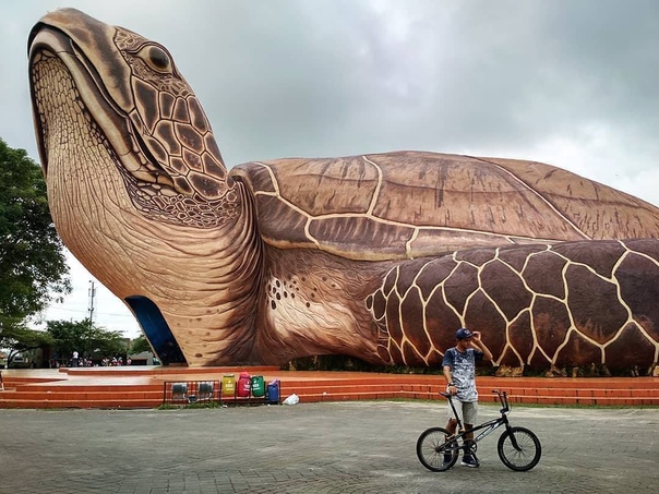 Океанариум в Индонезии в виде черепахи ura-ura Ocean Par - двухэтажное здание в виде гигантской черепахи. На нижнем этаже расположен морской парк, на верхнем - аквариумы, кафе и разные