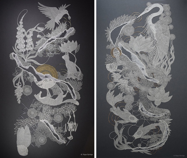 Великолепная резьба на бумаге Пиппы Дирлаги. Настоящие произведения искусства вырезает из бумаги британская художница Pippa Dyrlaga. Для создания очередного шедевра девушке нужны всего три вещи