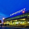 Лоси появились у входа в один из терминалов Пермского аэропорта