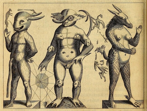 Серия иллюстраций из книги Фортунио Личети «Монстры» 1665 г. На момент появления книги во всей Европе был живой интерес ко всяческим уродствам: карлики, мнимые русалки, деформированные эмбрионы