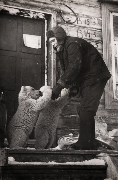 Фото сотрудника метеостанции, который кормит осиротевших медвежат. Новая Земля, 1970 г.