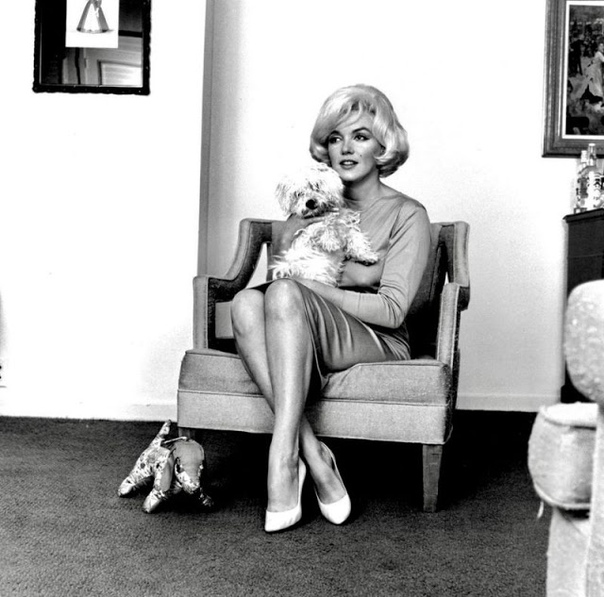 Фотосессия Мэрилин Монро с собачкой. Фотограф: Eric Sipsey 1961 год