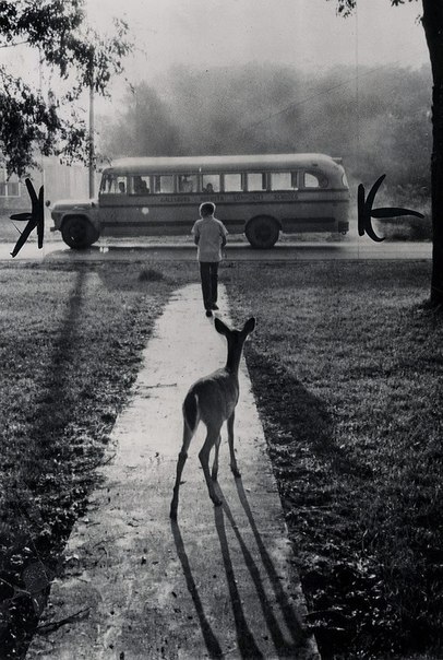 Необыкновенное фото. Проводы в школу.Мичиган, США, 1960 г.