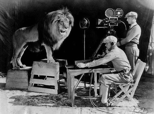 Фото процесса съёмки легендарной заставки со львом Metro-Goldwyn-Mayer  