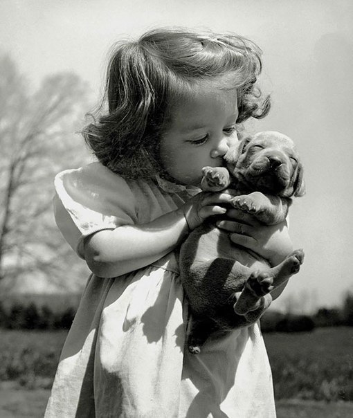 Пусть день будет добрым! Девочка и щенок, 1950 г.