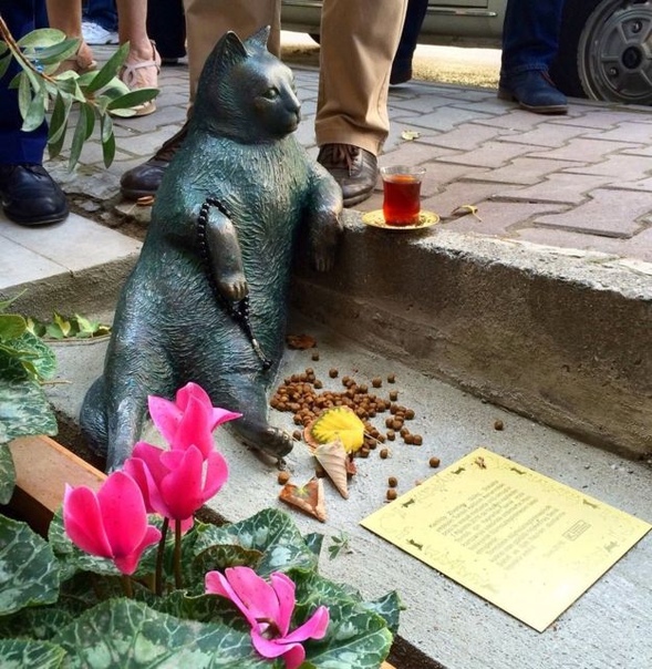 Томбили памятник коту в Стамбуле. Бродячий кот Томбили стал звездой интернета после того, как его фотографию опубликовали на одном из американских развлекательных сайтов. Томбили обитал в районе