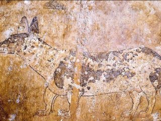 ТАКСА: ИСТОРИЯ ПОРОДЫ, ИНТЕРЕСНЫЕ ФАКТЫ Считается, что до XIV века точно определенных пород домашних животных собак и кошек, не было. Поэтому тех питомцев, которые мы видим на картинах старых