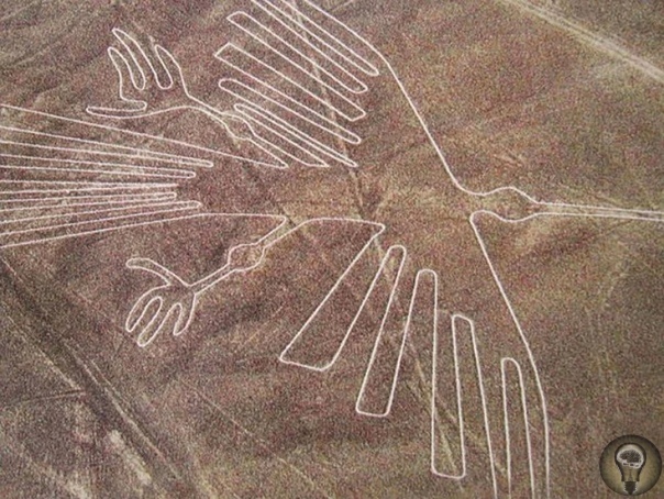 Новое исследование изображений птиц на таинственных линиях Наска в Перу Серия огромных геоглифов запечатленных на плато в перуанской пустыни, протянувшемся более чем на 50 километров с севера на