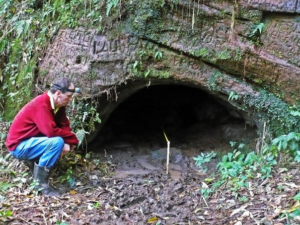 Доисторические мега-норы, которые были вырыты гигантскими ленивцами В северной части Южной Америки насчитываются сотни гигантских туннелей достаточно больших, чтобы в них мог разместиться