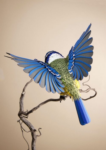 С помощью более чем 4 тысяч кусочков бумаги художница кропотливо создаёт трёхмерные скульптуры птиц и бабочек Художник по бумаге Лиза Ллойд (Lisa Lloyd) из Великобритании с помощью пинцета и