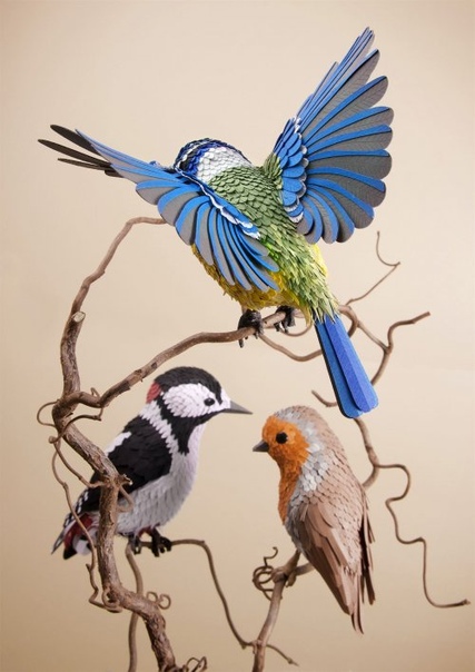 С помощью более чем 4 тысяч кусочков бумаги художница кропотливо создаёт трёхмерные скульптуры птиц и бабочек Художник по бумаге Лиза Ллойд (Lisa Lloyd) из Великобритании с помощью пинцета и