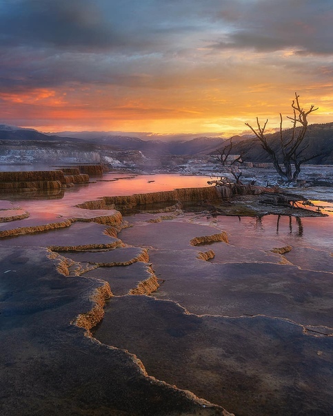 Террасы Мамонтовых горячих источников на рассвете (Йеллоустонский национальный парк) Фото: Rob_Phillips_Photo