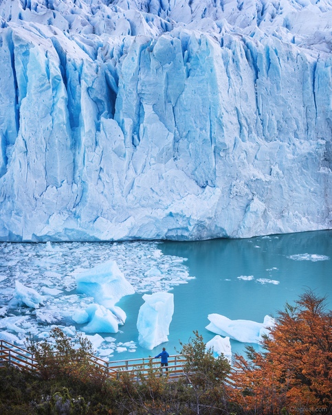 Вид на ледник Перито Морено Фото: Rest Oleg