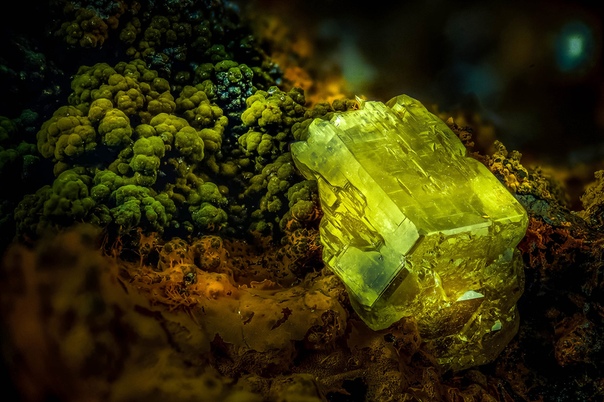 Пироморфит (минерал) под микроскопом Фото: Dr. Emilio Carabajal Márquez