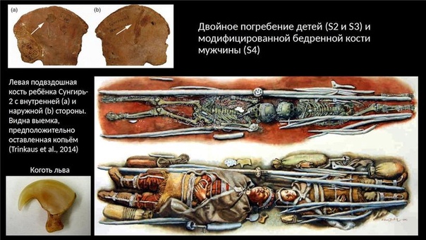 Сунгирь: ученые показали, как выглядели люди, жившие под Владимиром 30 000 лет назад 