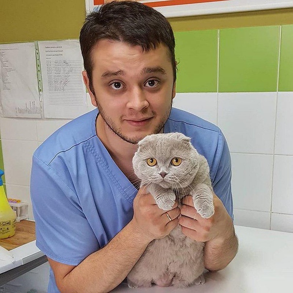 Ветеринару, спасающему животных от эвтаназии, грозит тюрьма 26-летний Баграт Агажанов из Челябинска спасал домашних животных от эвтаназии, но теперь может поплатиться за свою душевную доброту и