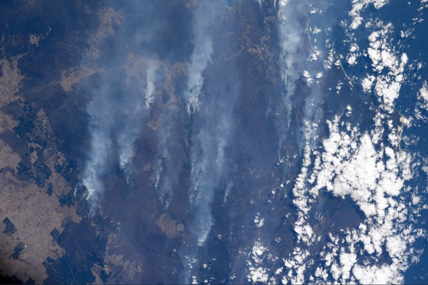 Дым от австралийских пожаров засняли из космоса Астронавт Кристина Кох поделилась снимками, полученными с борта МКС, на которых виден дым от разрушительных пожаров в Австралии.Примерно 70