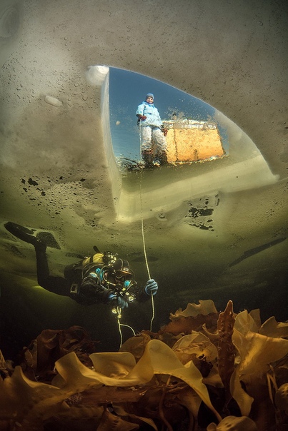 Погружение под 1 метром льда Виктор Лягушкин, амбассадор компании Nion и постоянный фотограф журнала National Geographic Russia, изобрёл новый приём подводной фотосъёмки: с его помощью зрители