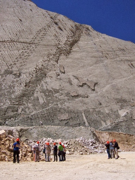 Скала динозавров или Кэл Орко место с самым крупным в мире скоплением следов динозавров На окраине города Сукре, Боливия, находится крупный цементный завод. Когда в 1985 году карьер по добыче