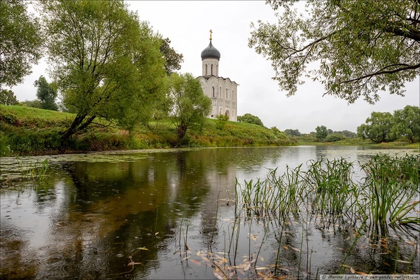 Церковь Покрова на Нерли уже восемь веков стоит на перекрёстке рек Нерль и Клязьма