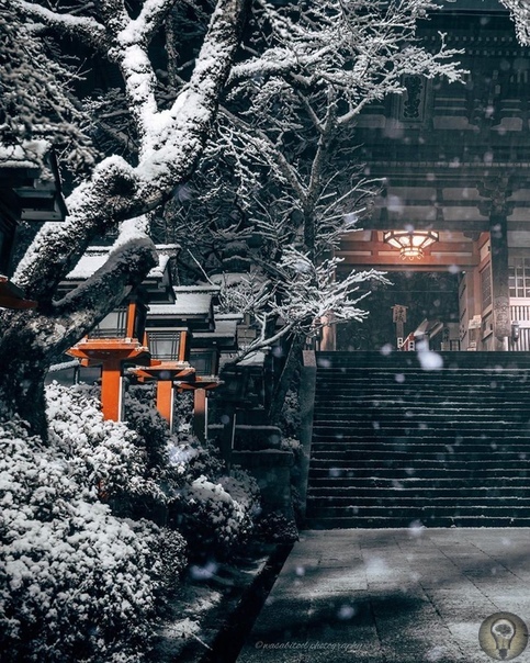 Фотограф запечатлел волшебную красоту храмов Киото зимой Япония славится своими красочными сезонами от цветения сакуры весной до яркой листвы осенью. Зимой же многие территории страны покрывает