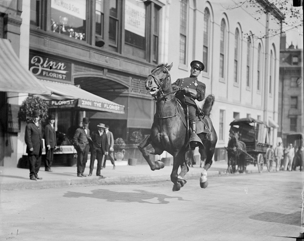 Конный полицейский на улице Бостона, США (1920-е годы)