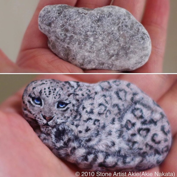 Японка превращает камни в реалистичных животных Аки Наката уникальная художница из Японии, отличающаяся необыкновенным восприятием окружающего мира. В то время как большинство из нас в камне