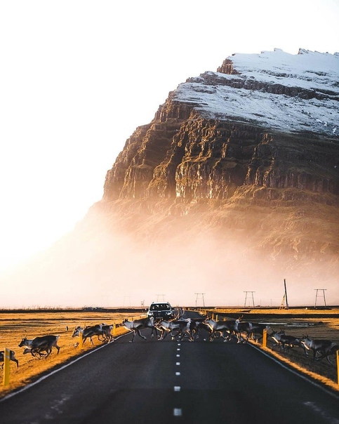 Потрясающий утренний кадр, Исландия