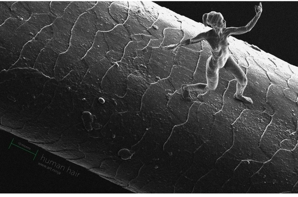 Самая маленькая статуя человека в мире, которая была создана с помощью квантовой физики На фотографиях запечатлено то, что Книга рекордов Гиннеса называет самой маленькой скульптурой в мире,