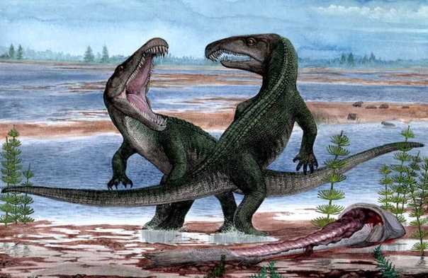 КАКАЯ БЫЛА ПРОДОЛЖИТЕЛЬНОСТЬ СУТОК И ГОДА ВО ВРЕМЕНА ДИНОЗАВРОВ Динозавры жили сотни миллионов лет назад, из-за чего современные ученые, изучающие то время, могут лишь строить гипотезы о том,