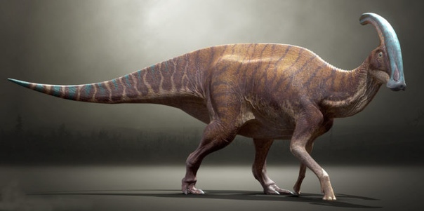 КАКАЯ БЫЛА ПРОДОЛЖИТЕЛЬНОСТЬ СУТОК И ГОДА ВО ВРЕМЕНА ДИНОЗАВРОВ Динозавры жили сотни миллионов лет назад, из-за чего современные ученые, изучающие то время, могут лишь строить гипотезы о том,