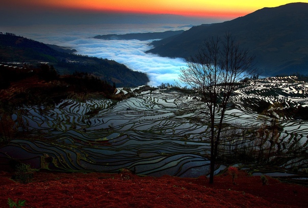 Китайские рисовые террасы Юаньян. Это уникальное место потрясает своей красотой круглый год. В водной глади, подобно зеркалу, отражаются облака и закатное солнце. Фото: Chee eong