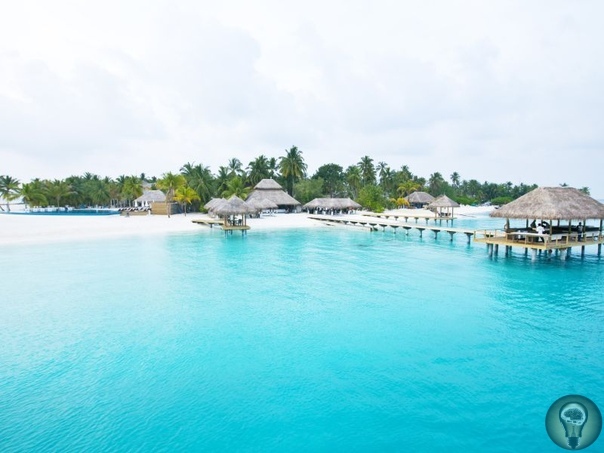 Отдых на Мальдивах: какой остров выбрать Территориальная организация на Мальдивах непростая. Вся страна делится на атоллы, то есть на группы островов, а они, в свою очередь, бывают трёх видов: -