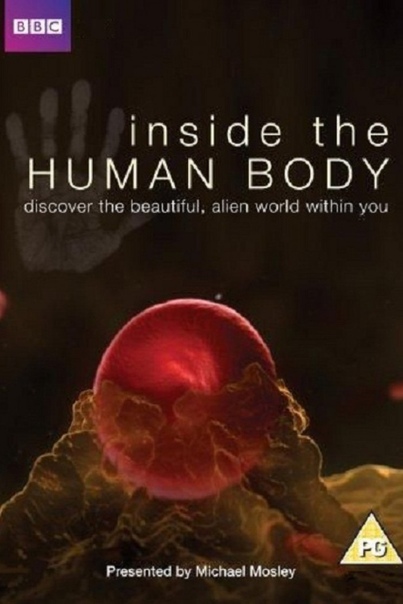 «Внутри человеческого тела» (2011) Документальный мини-сериал BBC.Всё изучить невозможно, мир огромный и изведан лишь наполовину, что заставляет ученых и изобретателей с необходимостью двигаться